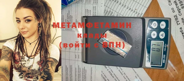 трава Инта