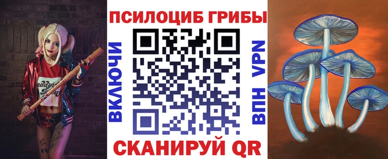 Купить где  Саров  Галлюциногенные грибы мицелий 